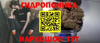 гидра Краснодар
