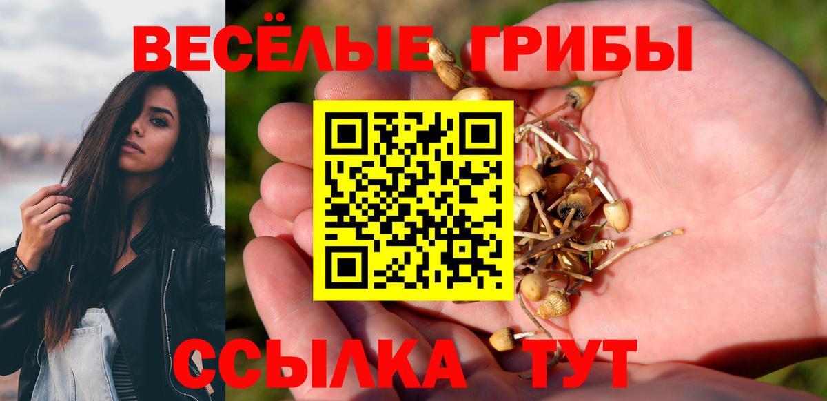 Галлюциногенные грибы прущие грибы  Вход с VPN  хочу наркоту  Галлюциногенные грибы Cubensis  Калуга 