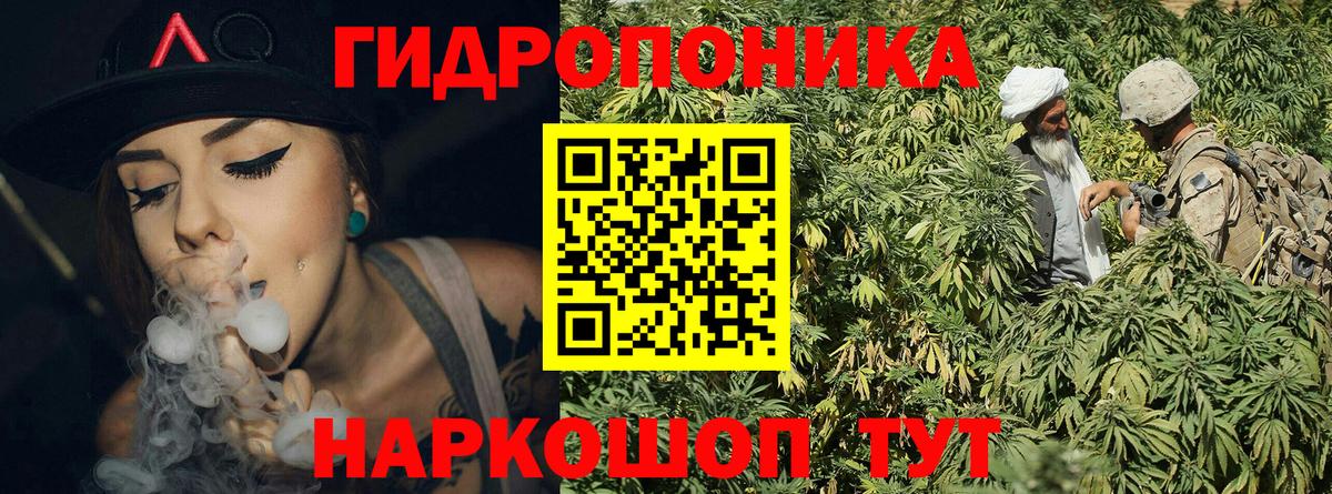 Конопля OG Kush  Конопля тримм  Калуга  Марихуана тримм  Конопля индика  Вход с VPN 